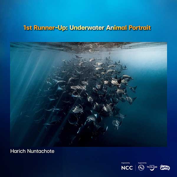 Thailand Dive Expo (TDEX)