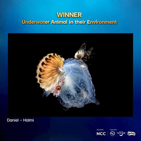 Thailand Dive Expo (TDEX)