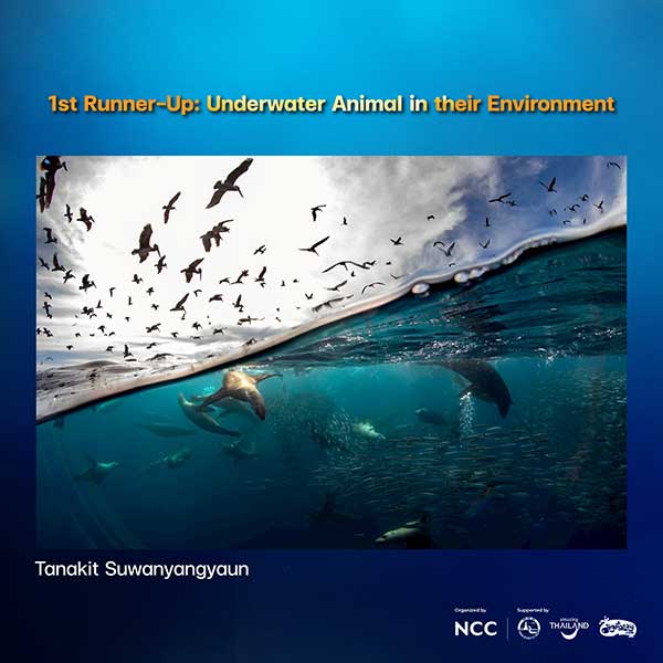 Thailand Dive Expo (TDEX)