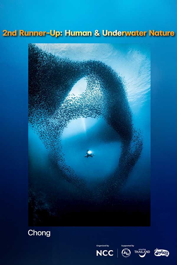 Thailand Dive Expo (TDEX)
