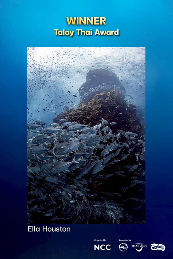 Thailand Dive Expo (TDEX)