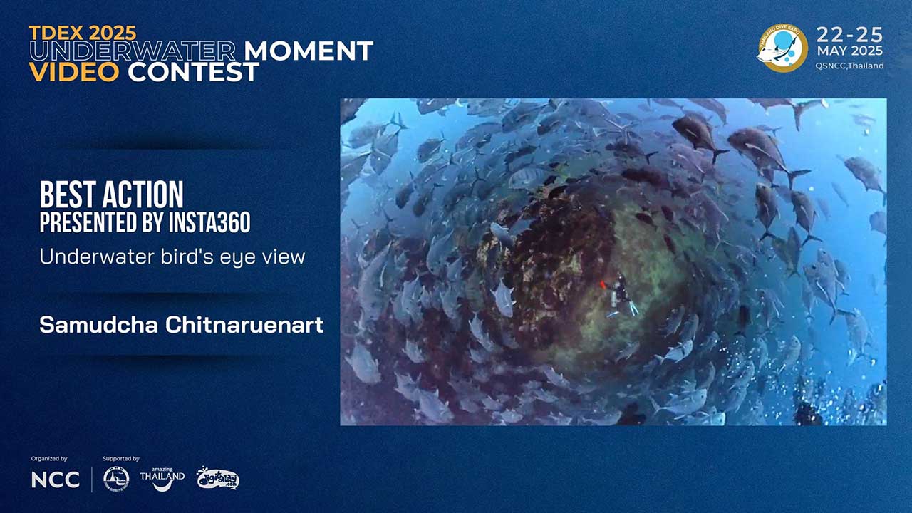 Thailand Dive Expo (TDEX)