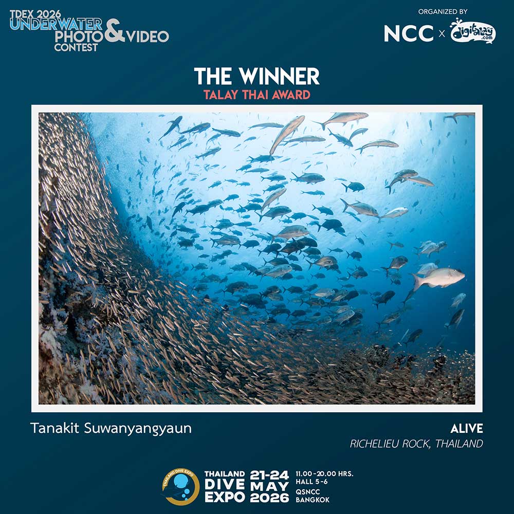 Thailand Dive Expo (TDEX)