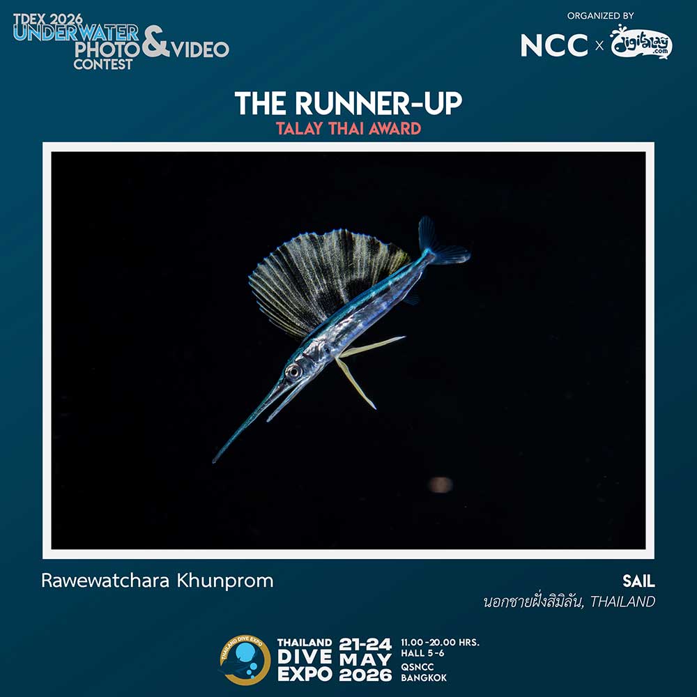 Thailand Dive Expo (TDEX)