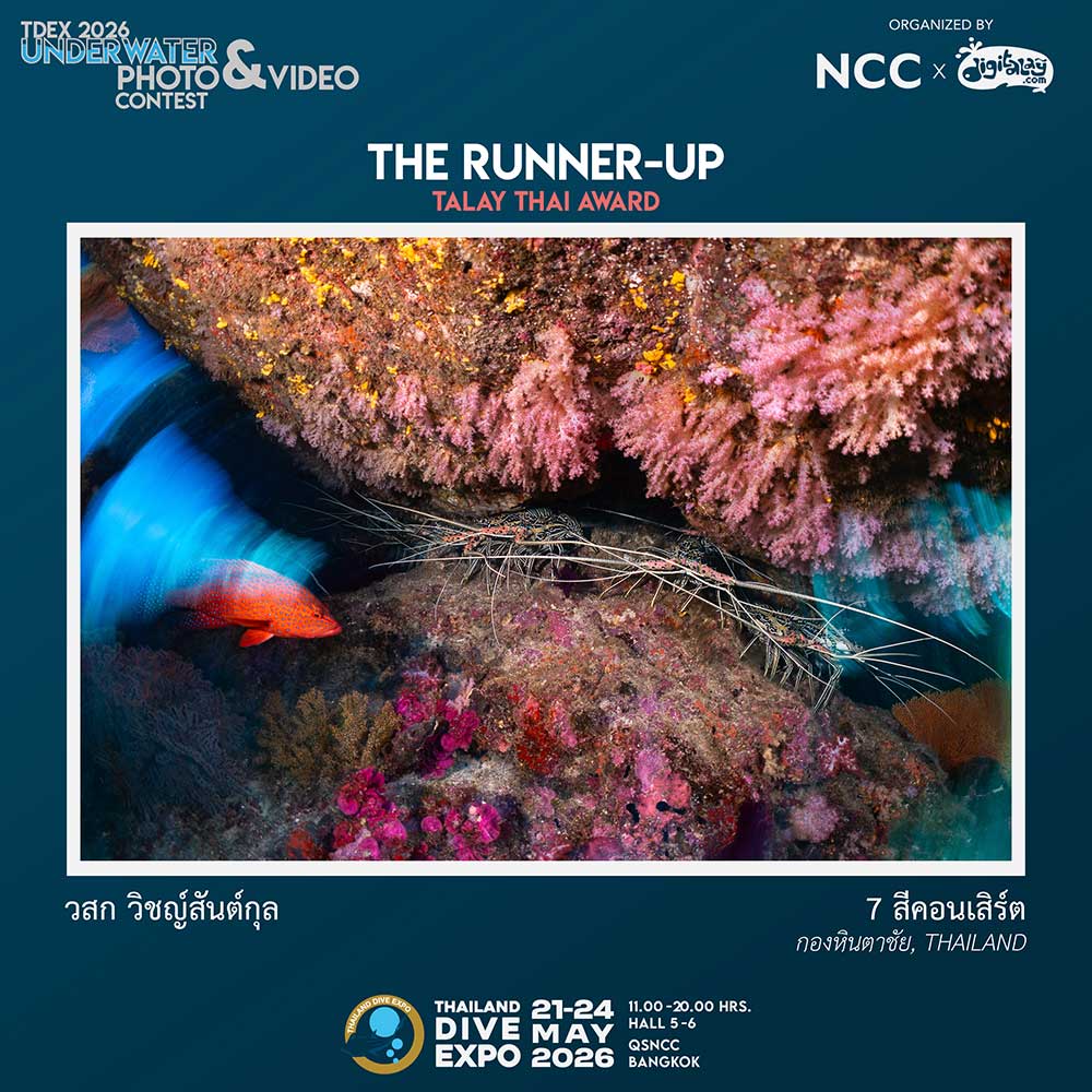 Thailand Dive Expo (TDEX)
