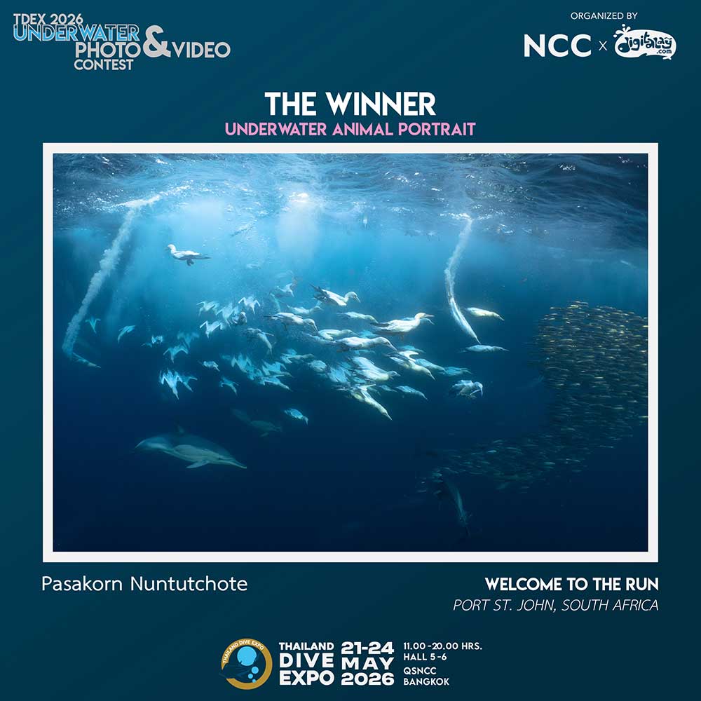 Thailand Dive Expo (TDEX)