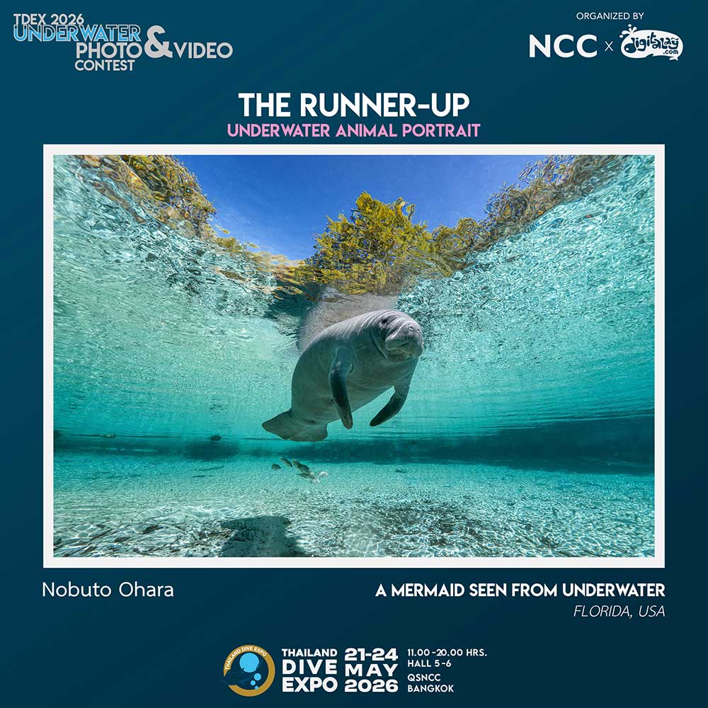 Thailand Dive Expo (TDEX)