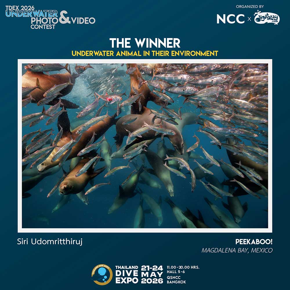 Thailand Dive Expo (TDEX)