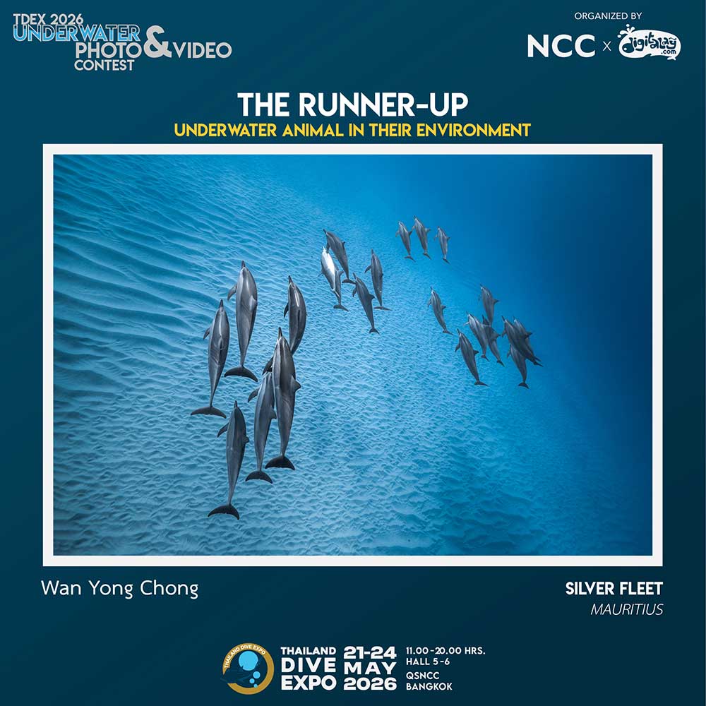 Thailand Dive Expo (TDEX)