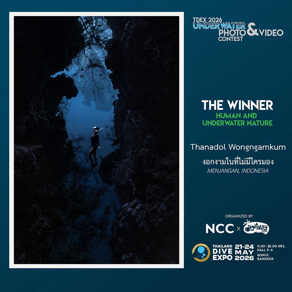 Thailand Dive Expo (TDEX)