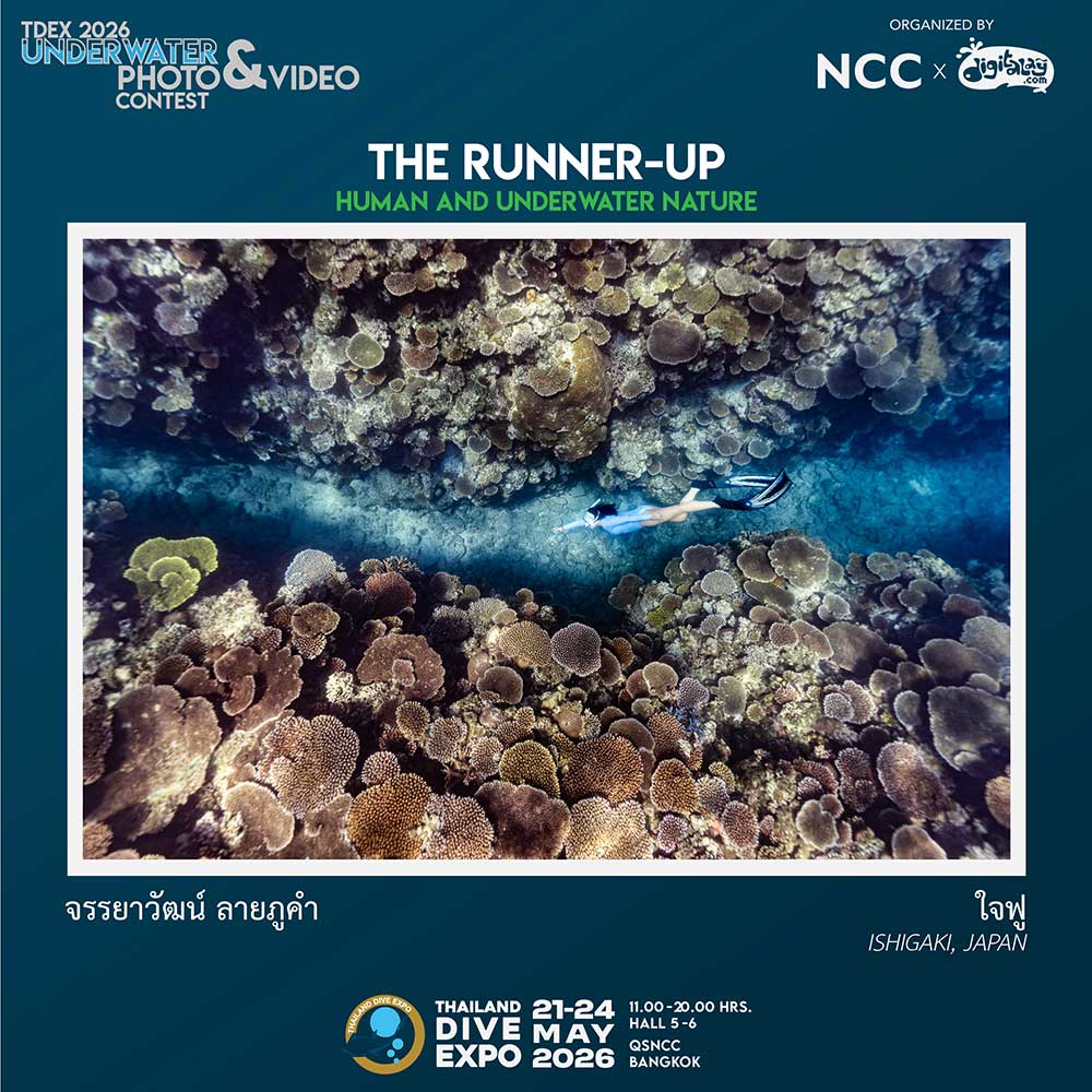 Thailand Dive Expo (TDEX)