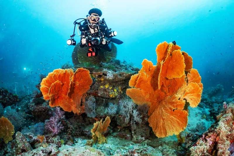 Thailand Dive Expo (TDEX)