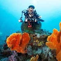 Thailand Dive Expo (TDEX)