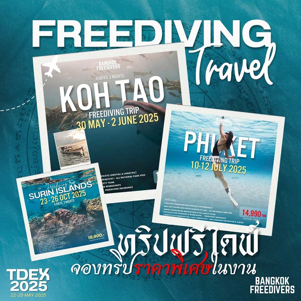 Thailand Dive Expo (TDEX)
