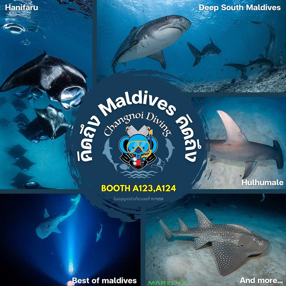 Thailand Dive Expo (TDEX)