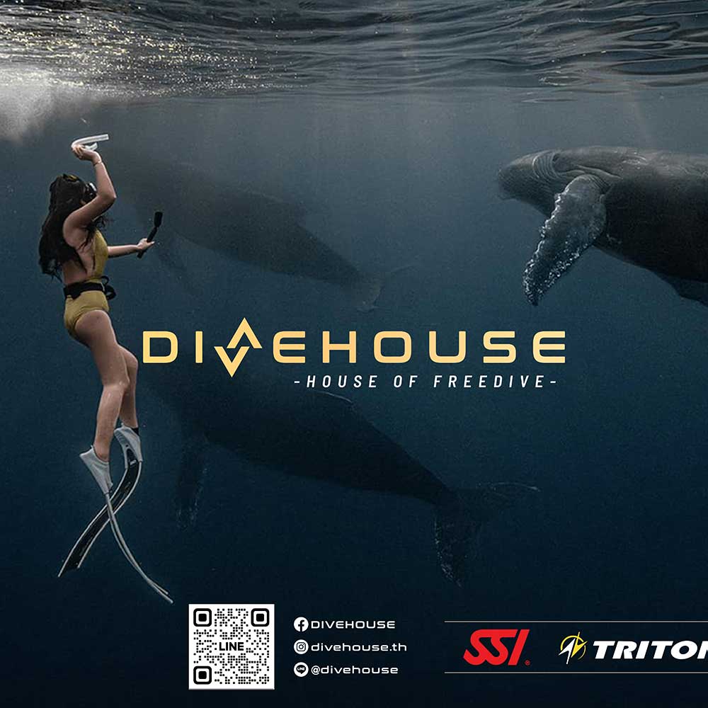 Thailand Dive Expo (TDEX)