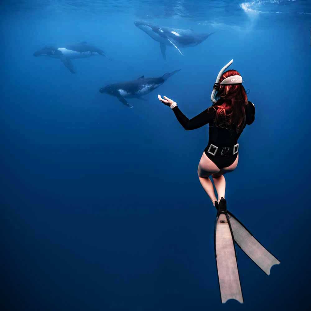 Thailand Dive Expo (TDEX)