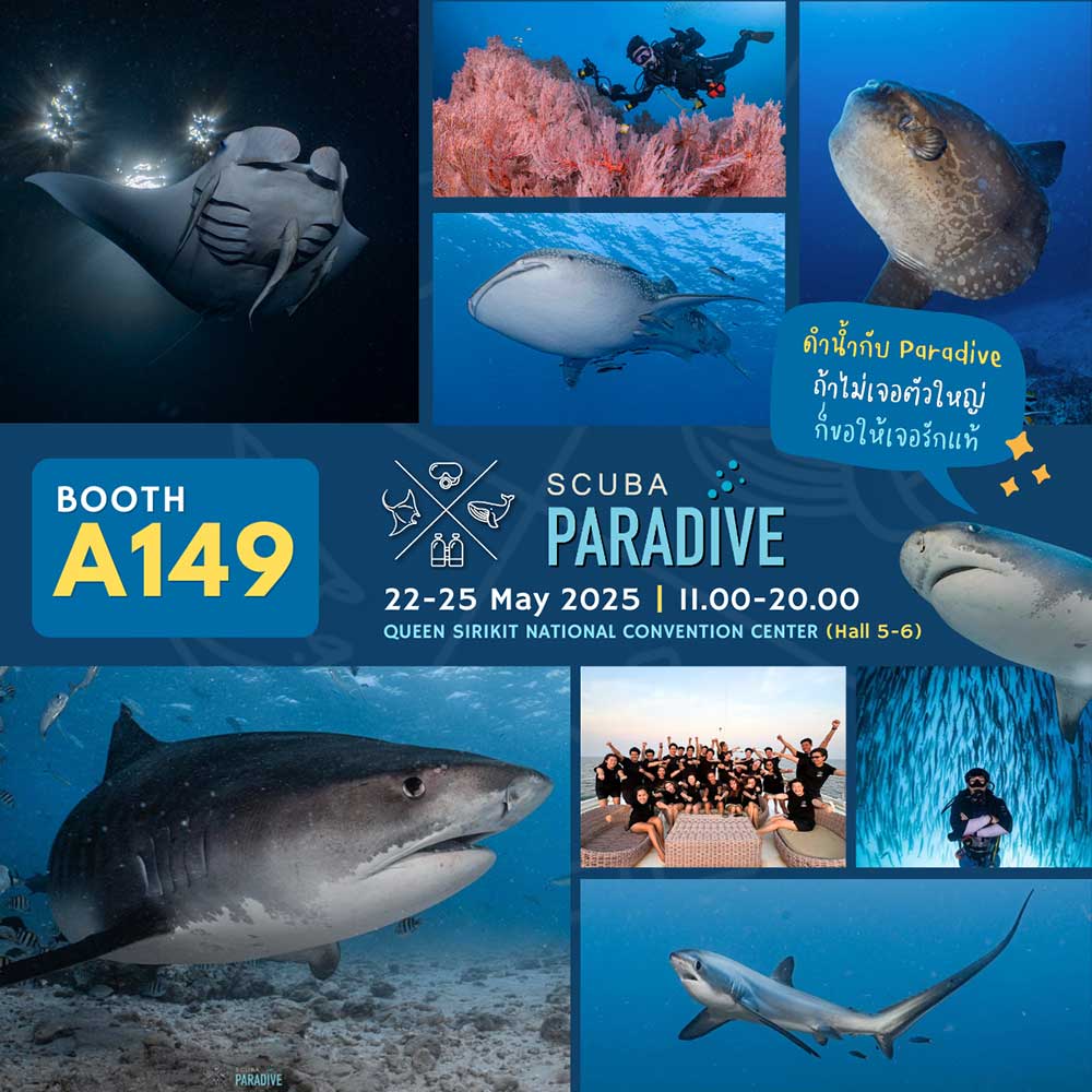 Thailand Dive Expo (TDEX)