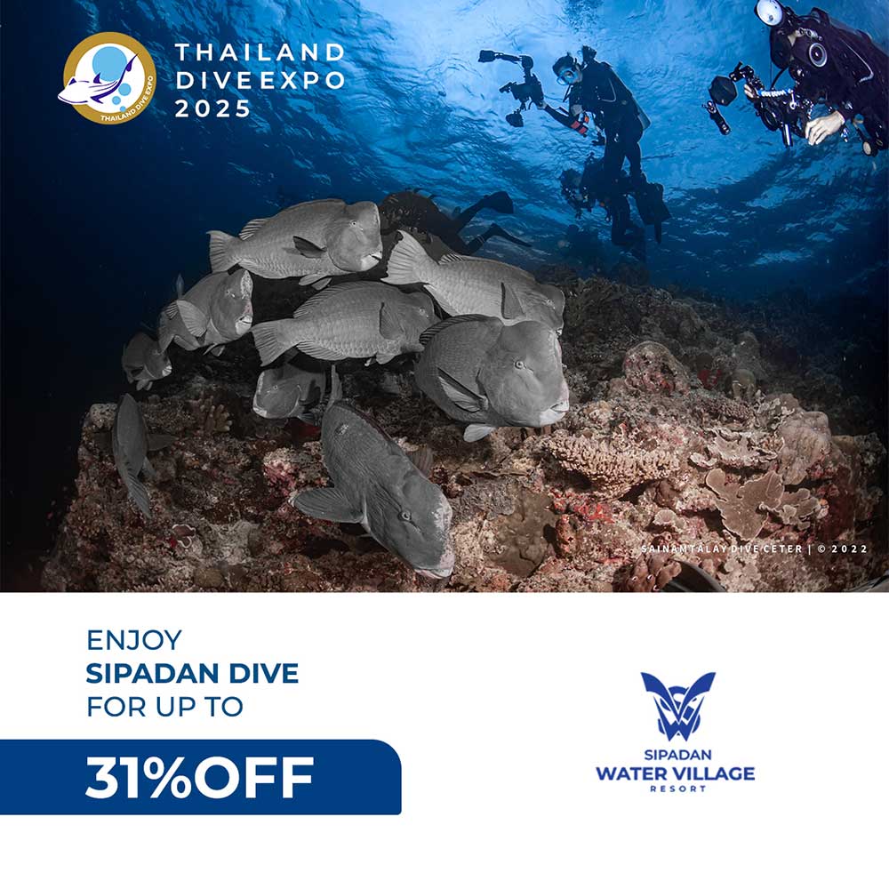 Thailand Dive Expo (TDEX)