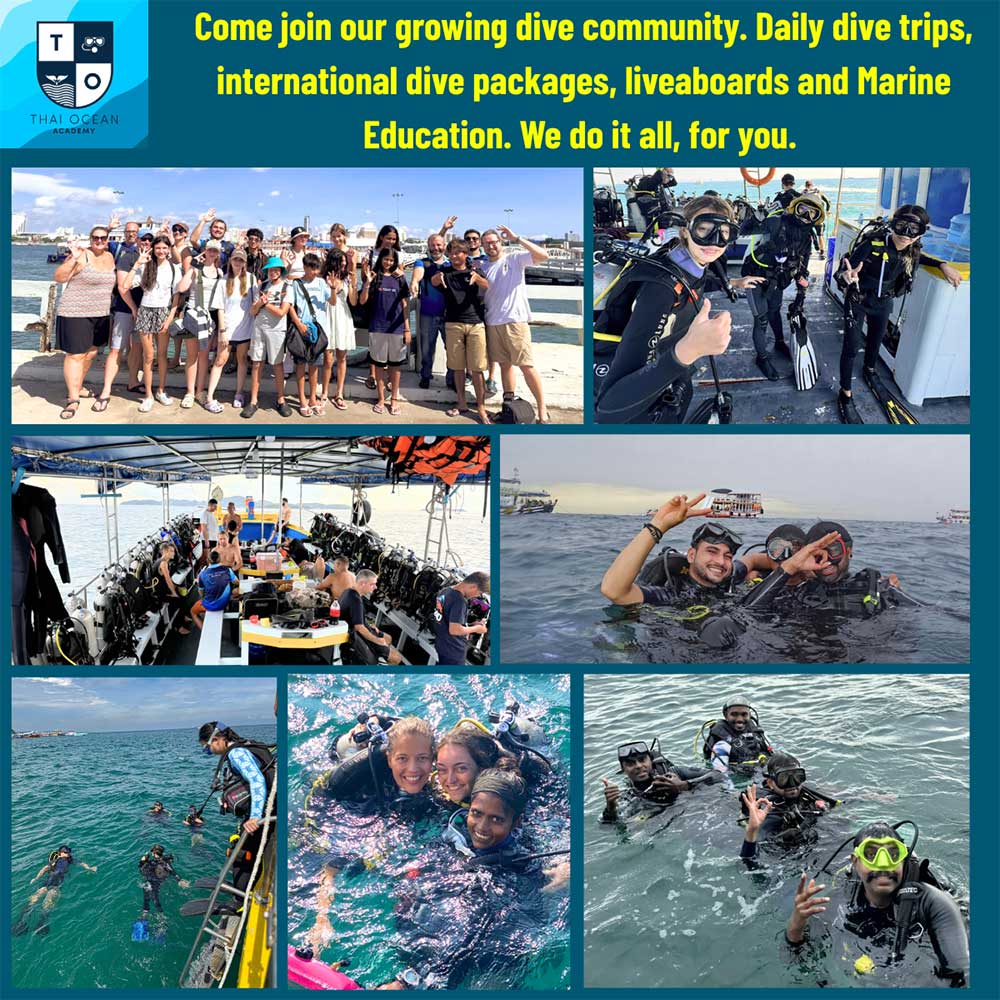 Thailand Dive Expo (TDEX)