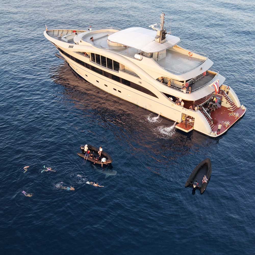 Thailand Dive Expo (TDEX)