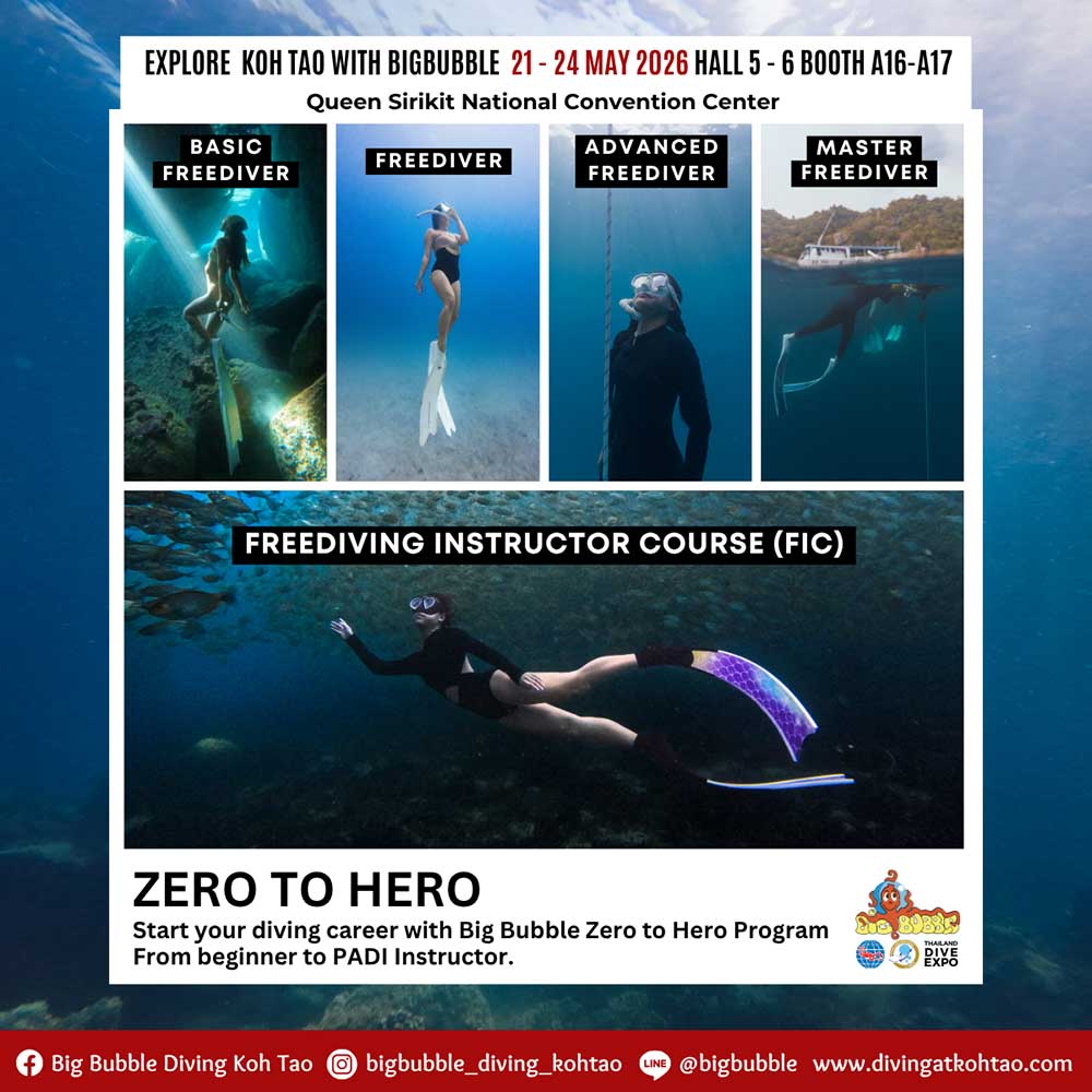 Thailand Dive Expo (TDEX)