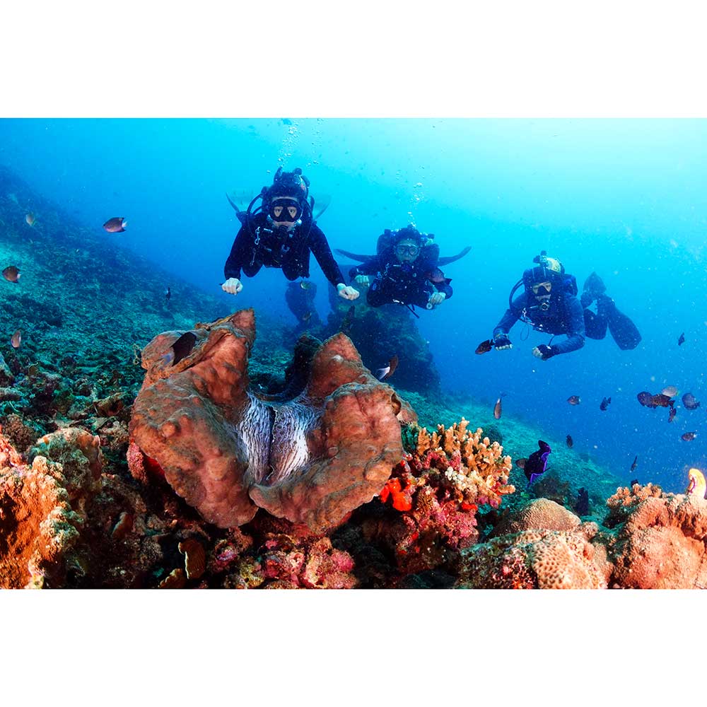 Thailand Dive Expo (TDEX)