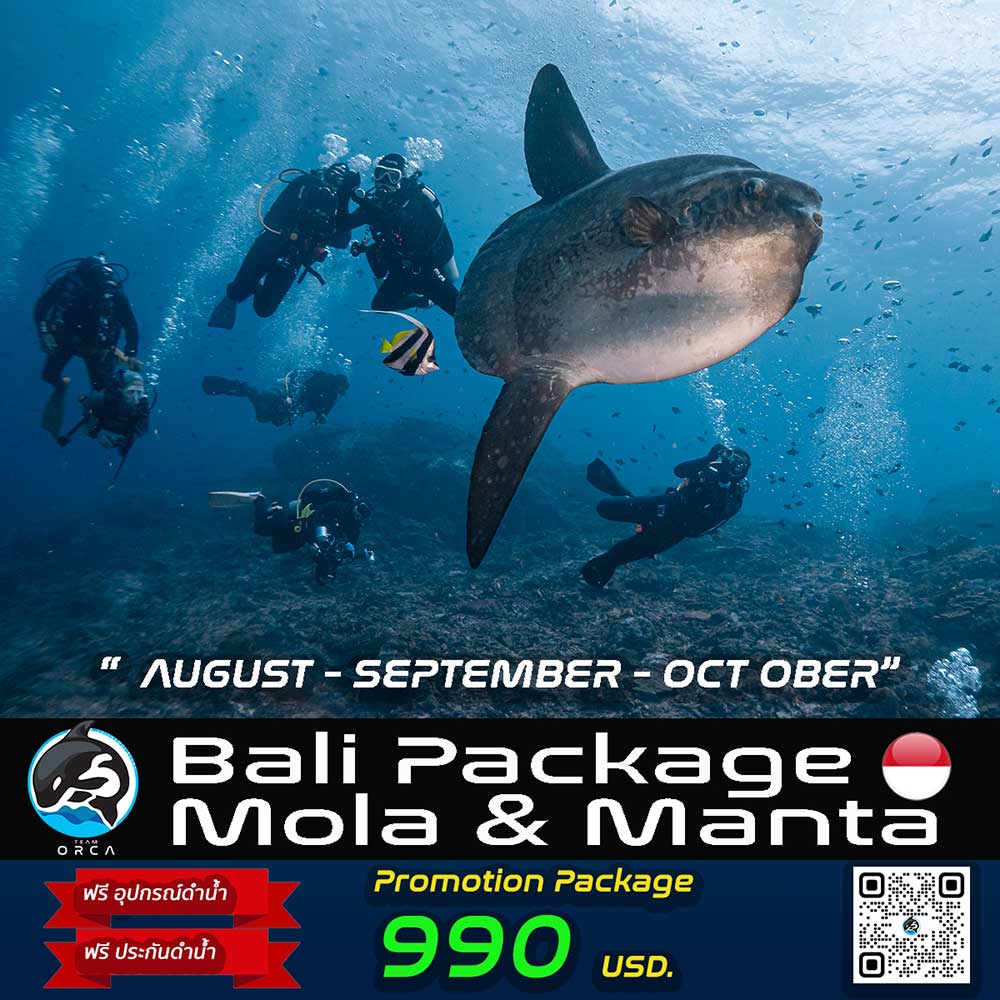 Thailand Dive Expo (TDEX)