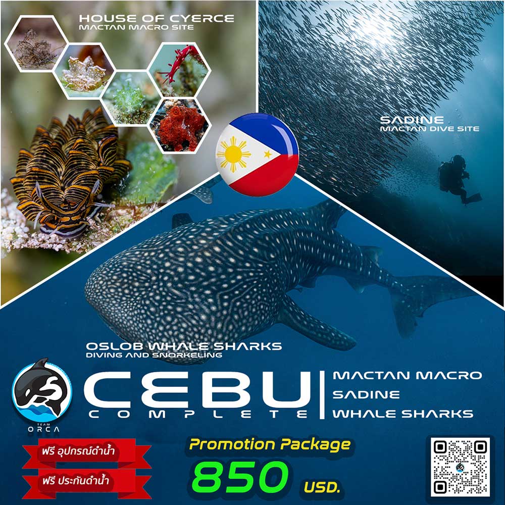Thailand Dive Expo (TDEX)