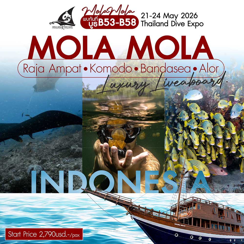 Thailand Dive Expo (TDEX)