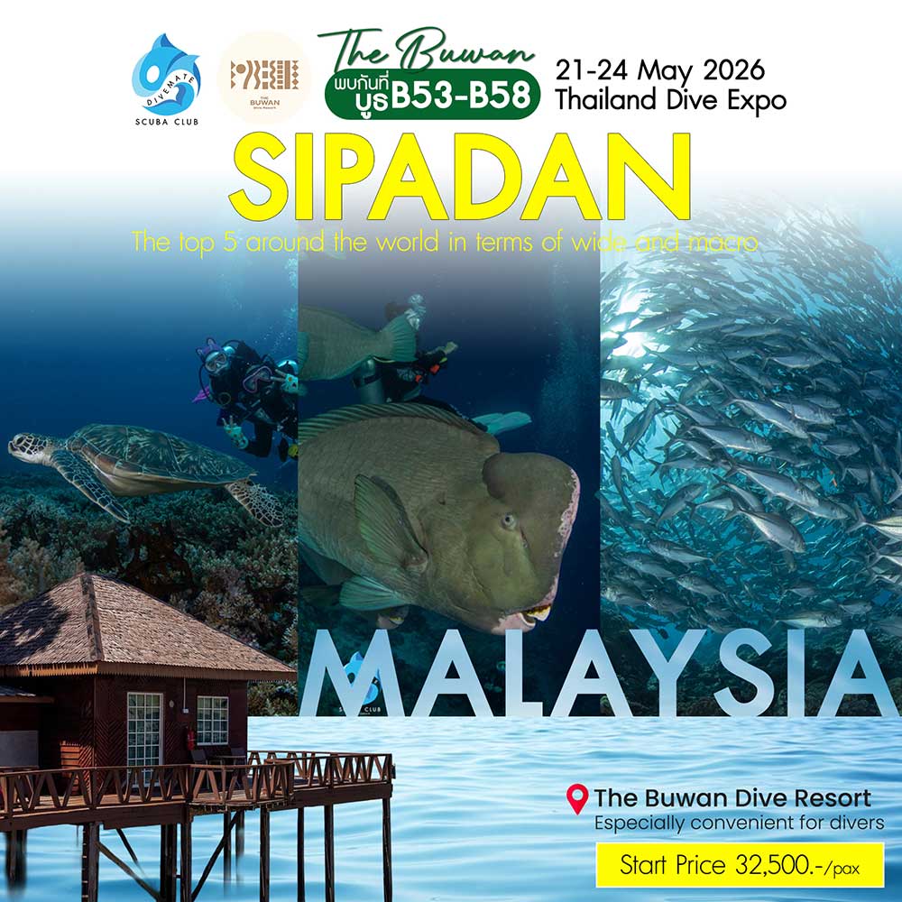 Thailand Dive Expo (TDEX)