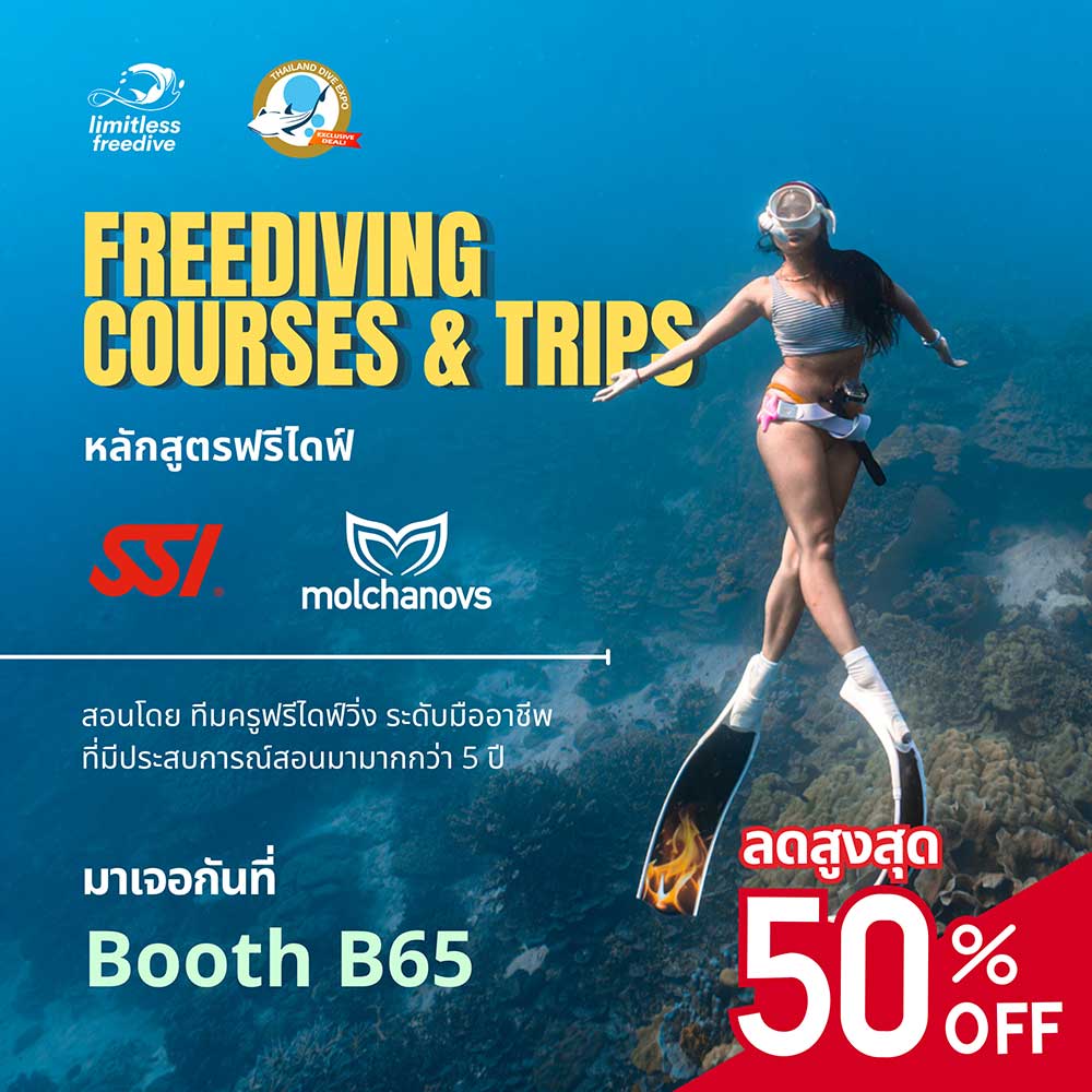 Thailand Dive Expo (TDEX)