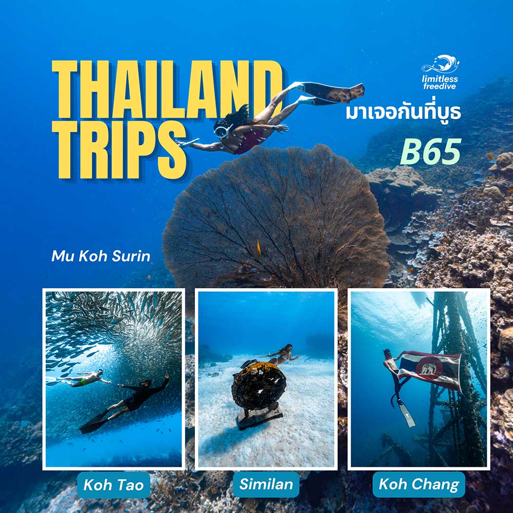 Thailand Dive Expo (TDEX)