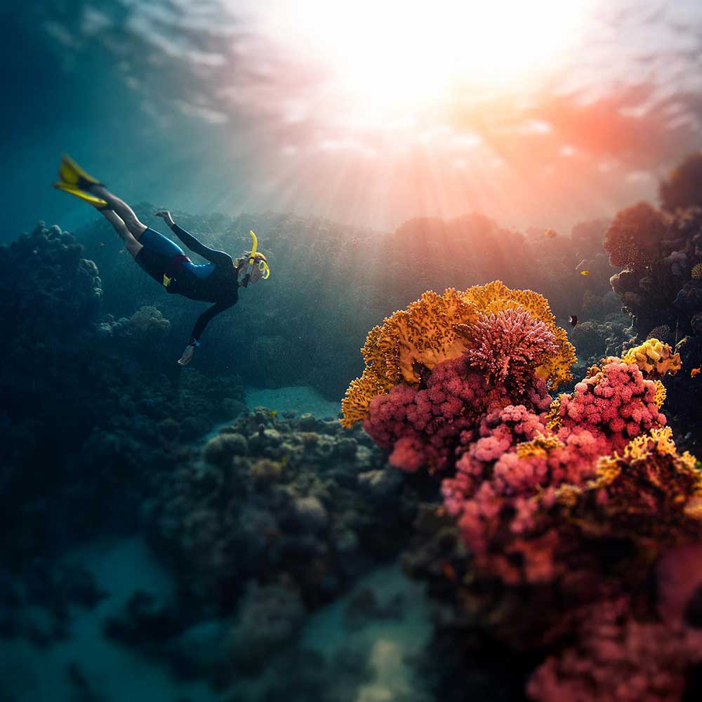 Thailand Dive Expo (TDEX)