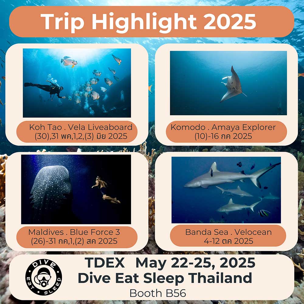 Thailand Dive Expo (TDEX)