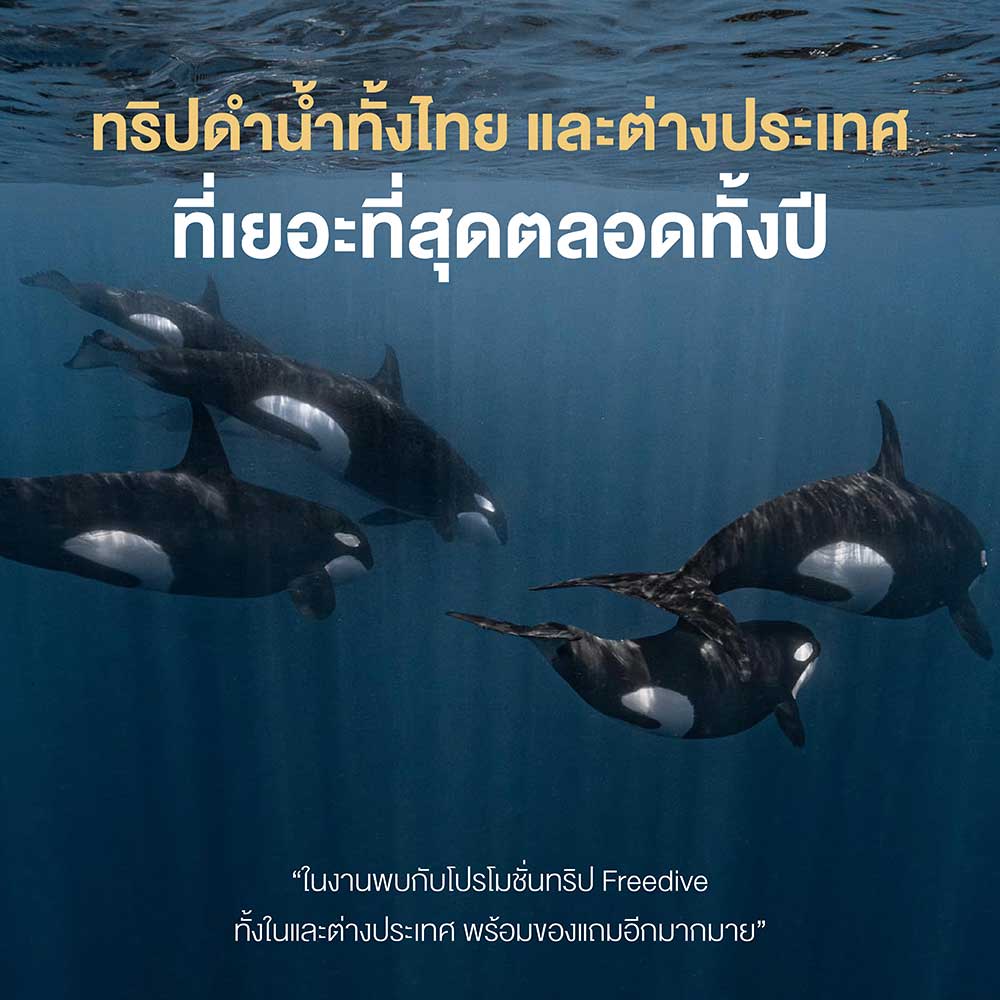 Thailand Dive Expo (TDEX)