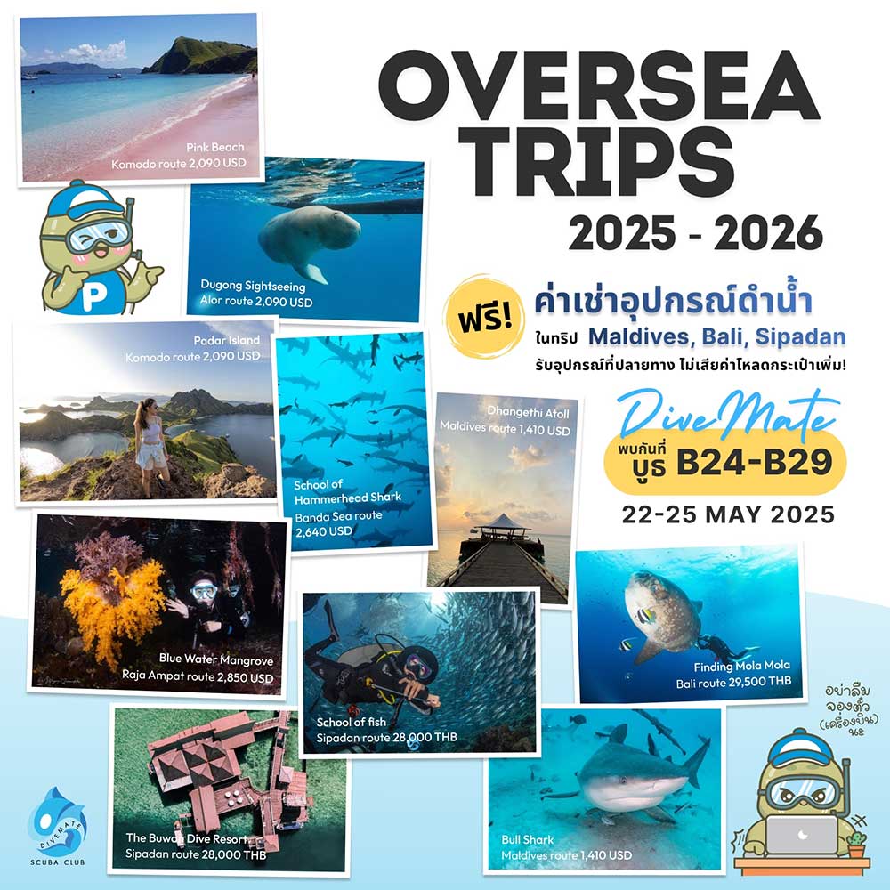 Thailand Dive Expo (TDEX)