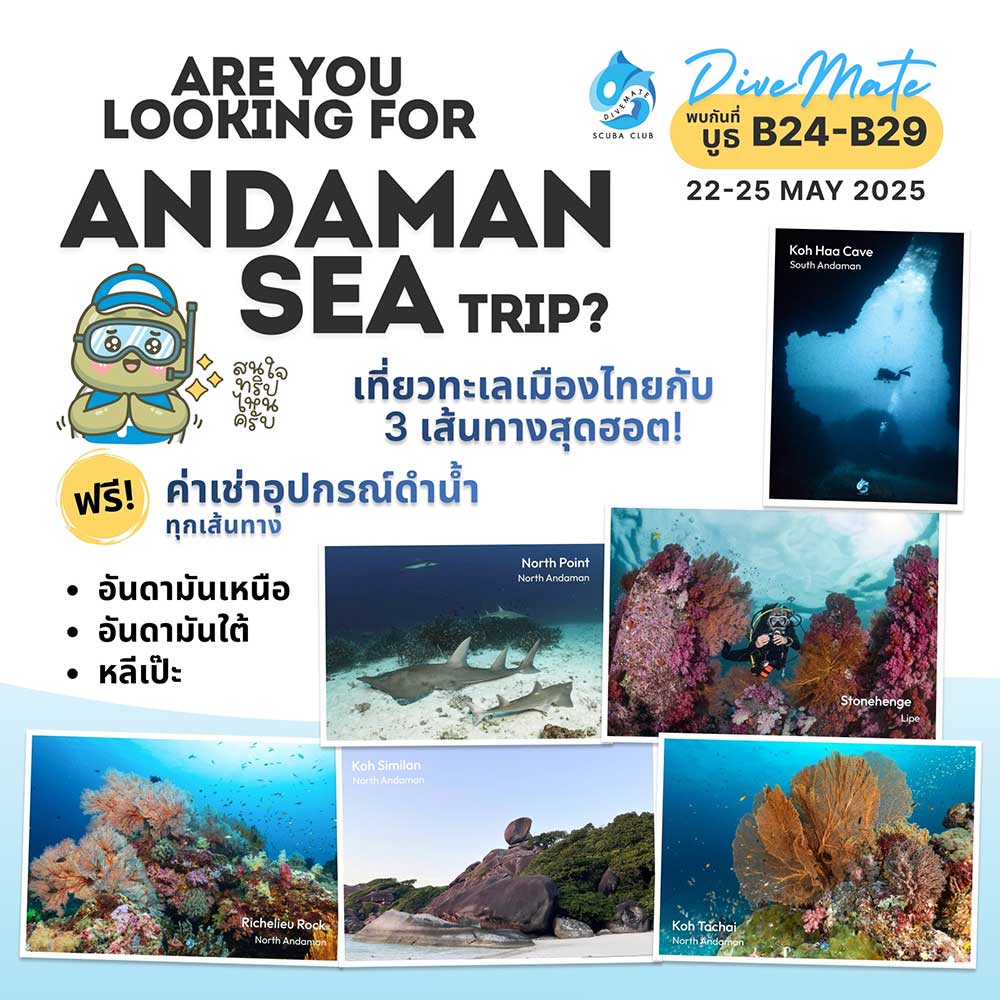 Thailand Dive Expo (TDEX)