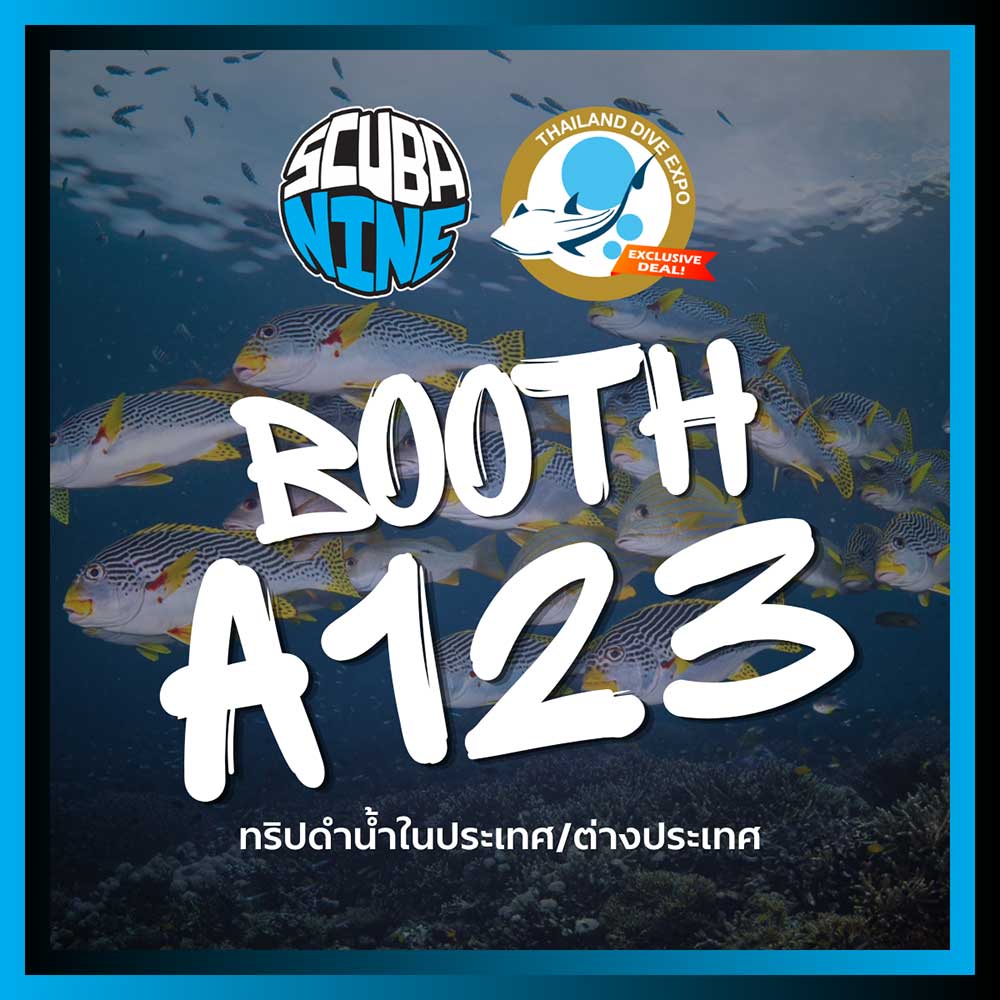 Thailand Dive Expo (TDEX)