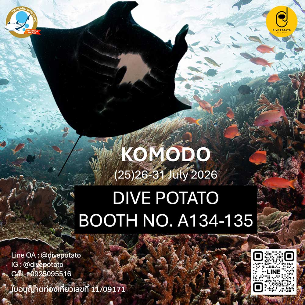 Thailand Dive Expo (TDEX)