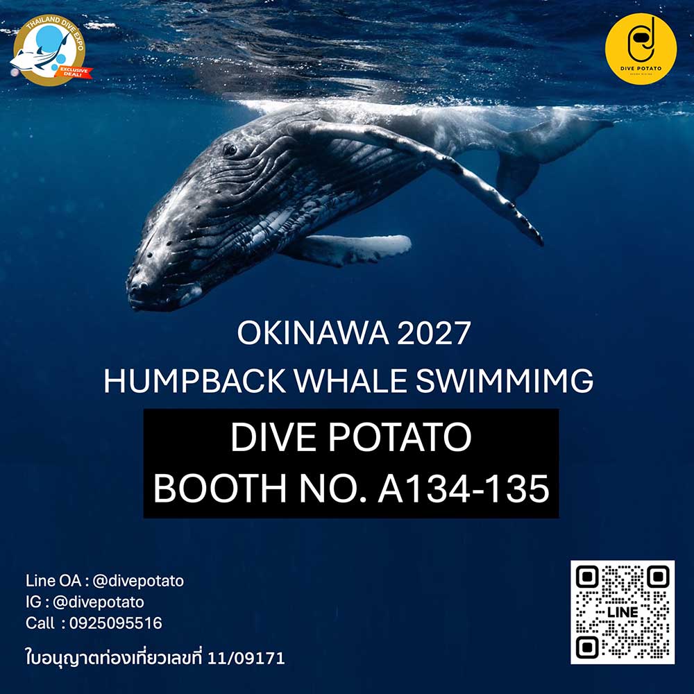 Thailand Dive Expo (TDEX)