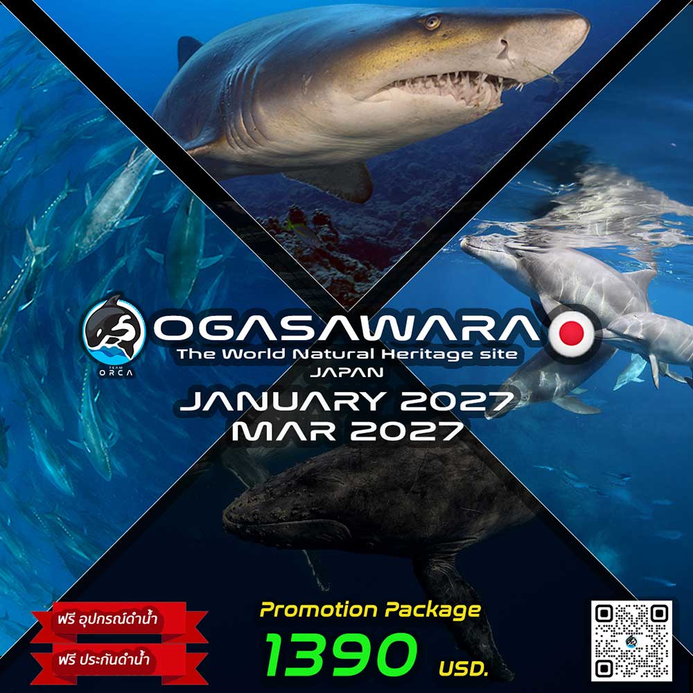 Thailand Dive Expo (TDEX)