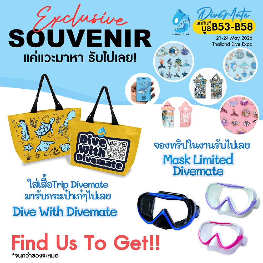 Thailand Dive Expo (TDEX)